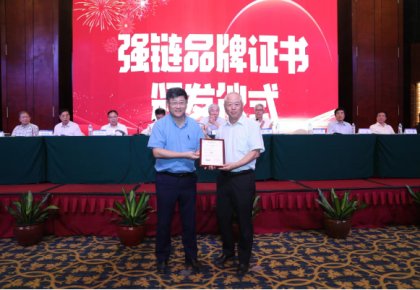 登榜！海德威入選首批船舶工業(yè)“強鏈品牌”